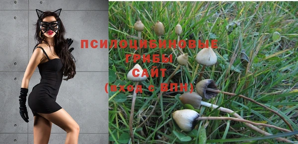 кокаин премиум Алзамай