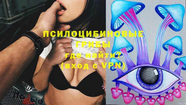 синтетический гашиш Алексин