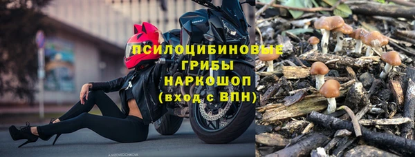 гашик Алексеевка