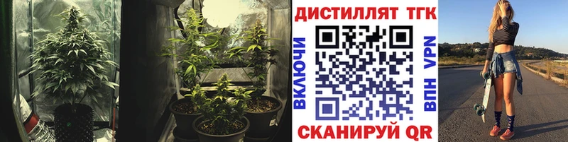 ОМГ ОМГ   Гагарин  ТГК Wax 