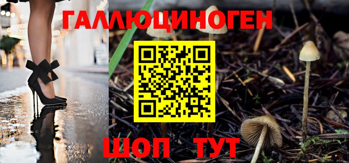 как найти закладки  Вход с VPN  Гагарин  Галлюциногенные грибы Psilocybine cubensis 